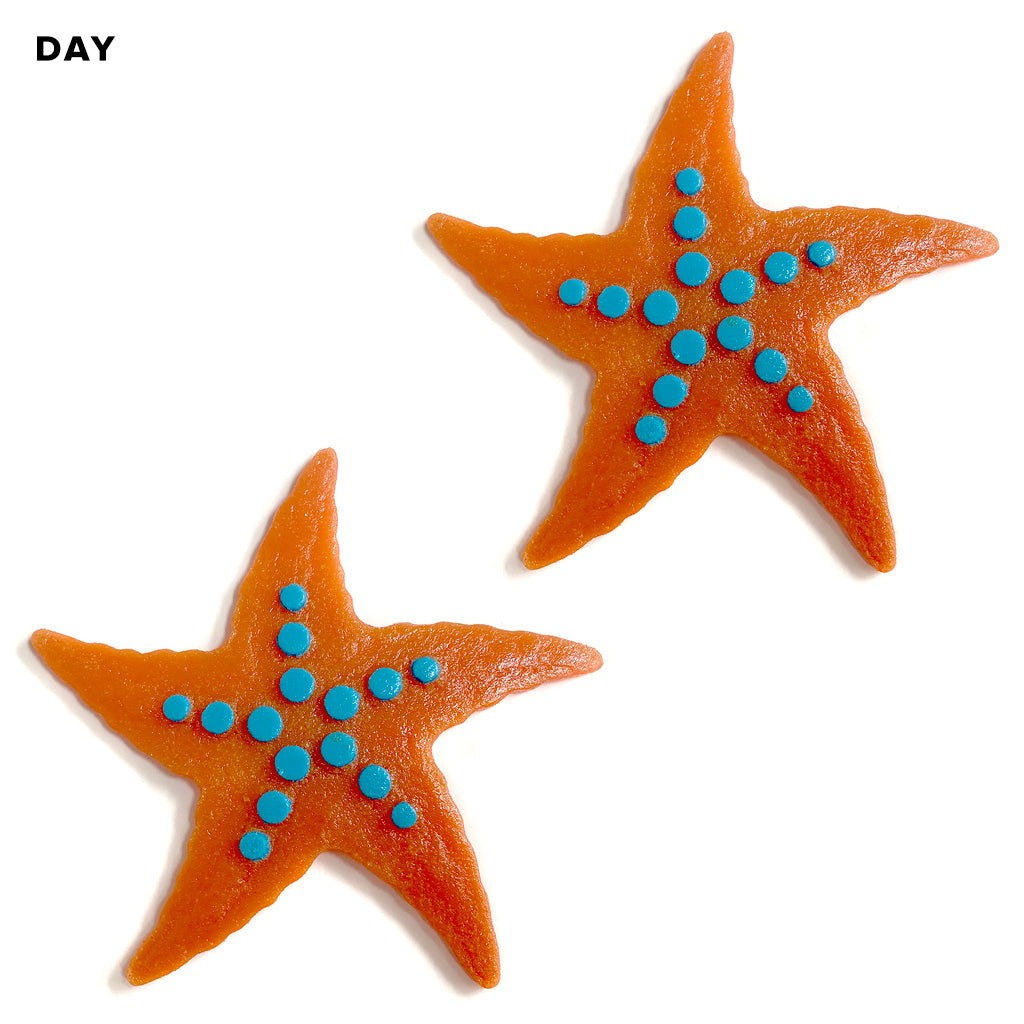 Bubbly Starfish Glow in the Dark Pool Mosaic