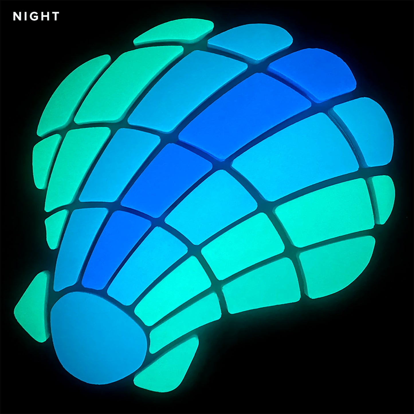 Curved Scallop Shell Glow in the Dark Mosaic