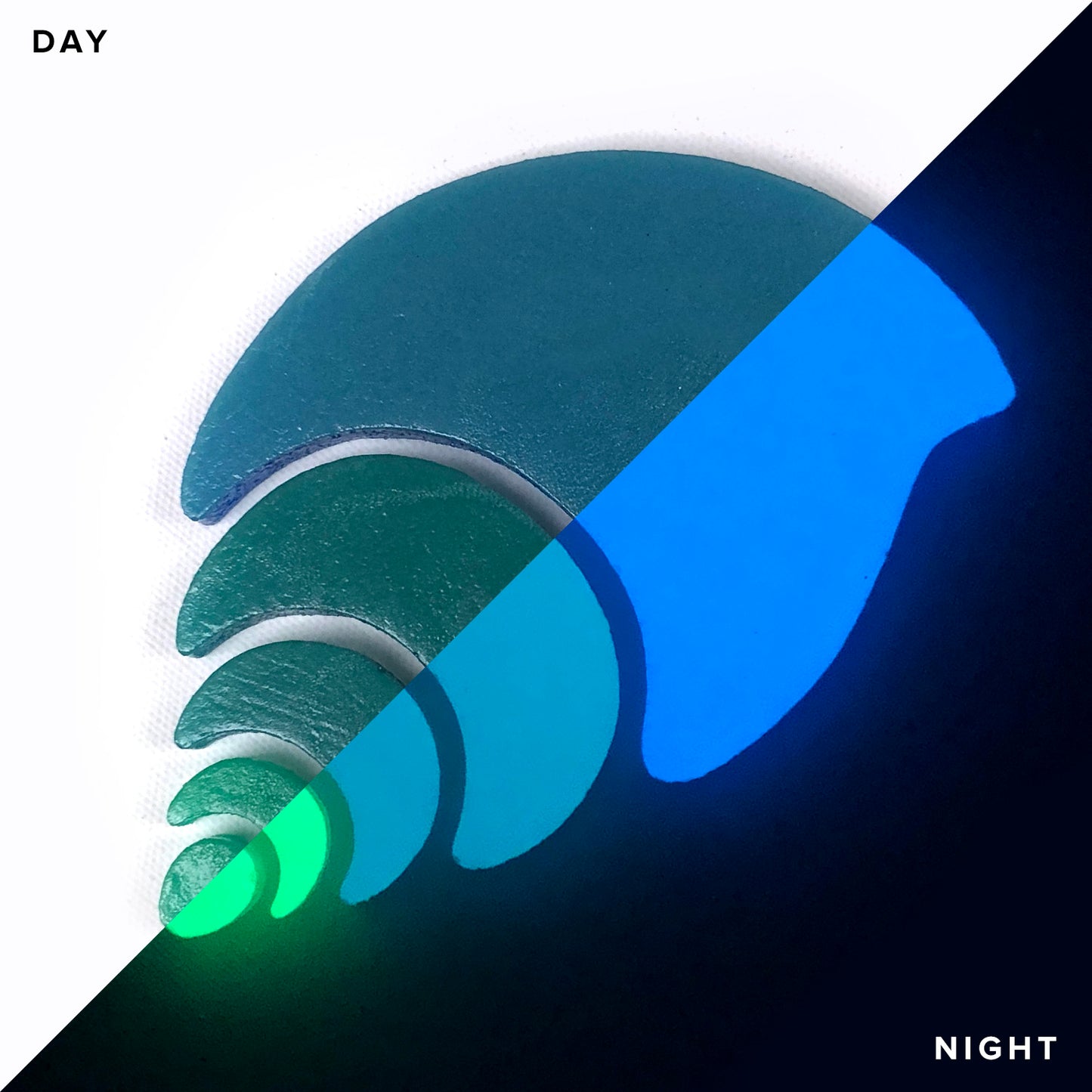 Nutmeg Shell Glow in the Dark Mosaic