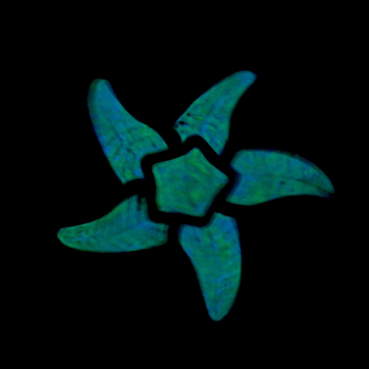 Starfish Glow in the Dark Pool Mosaic