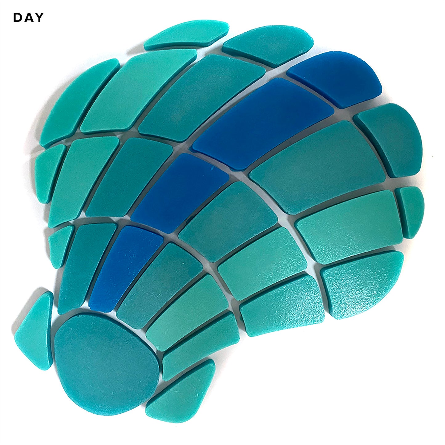 Curved Scallop Shell Glow in the Dark Mosaic
